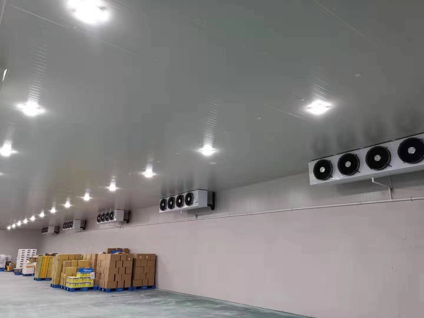 城市周邊建造一個8800平生鮮電商冷庫設計安裝費用？