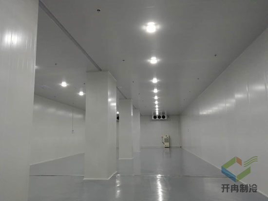 醫藥專業冷庫建設標準  醫藥專業冷庫建設標準