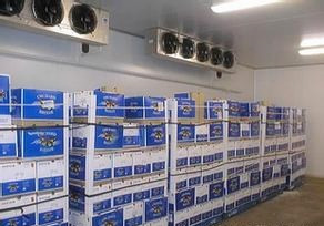 果蔬,黃桃氣調保鮮冷庫