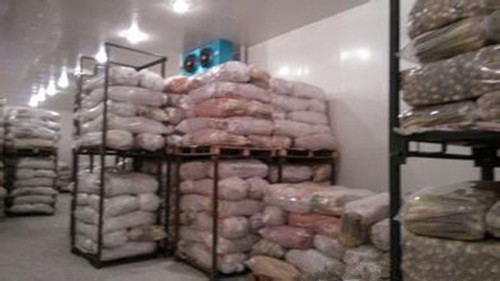 建一個500噸蓮藕冷庫多少錢 ，蓮藕冷庫造價