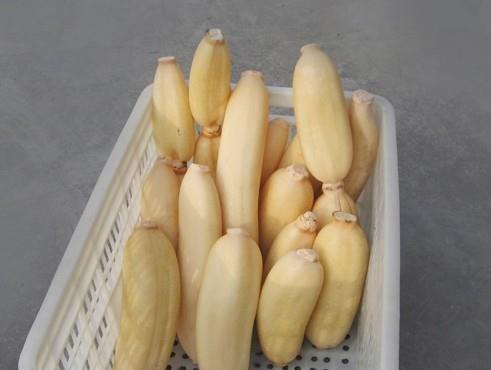 建造蓮藕冷藏庫多少錢一平,100噸的蓮藕要多大庫