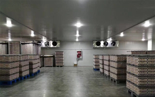 1000噸0-5℃蘋果冷藏庫多少錢,2-4℃冷藏庫建設(shè)