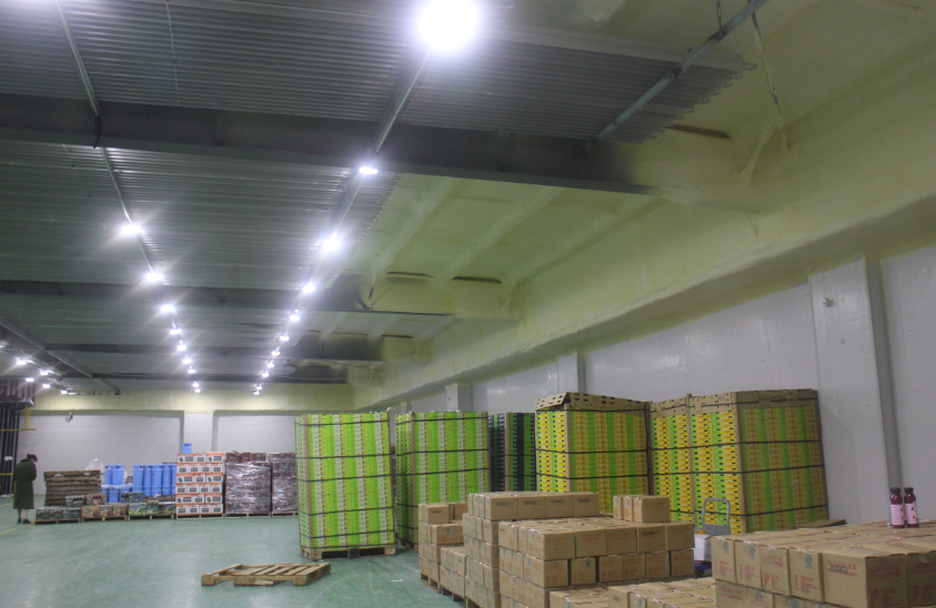 2000噸蘋果保鮮庫造價多少,0-5℃保鮮庫建造一平價格