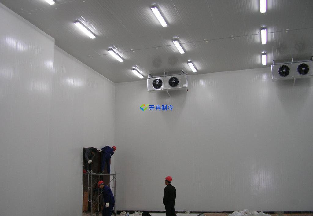 5000噸大蒜需建多大冷庫,冷庫造價多少錢