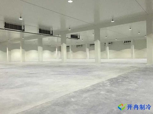 底下室建造1000平米冷凍庫，冷凍庫造價(jià)核算多少