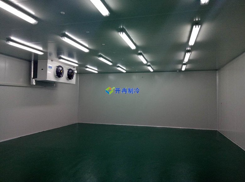 100m3血液冷庫溫度一般多少度，醫(yī)療冷庫報(bào)價  冷庫內(nèi)景圖片 